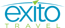 Exito logo generic